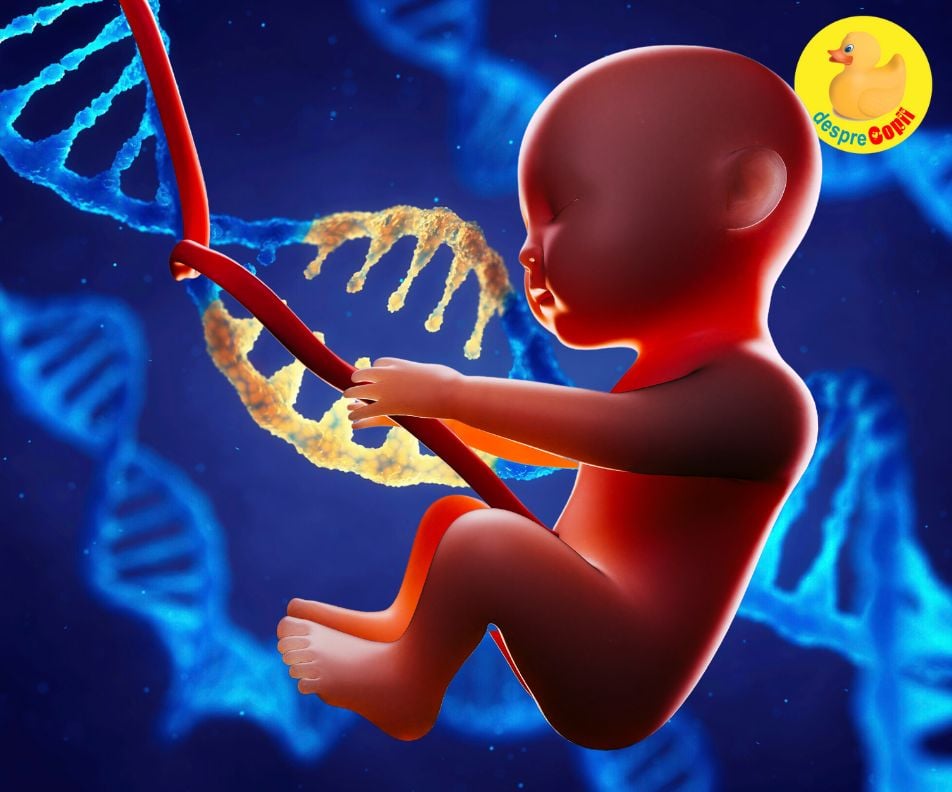 Prevenirea malformatiilor congenitale ale bebelusului: 6 sfaturi importante