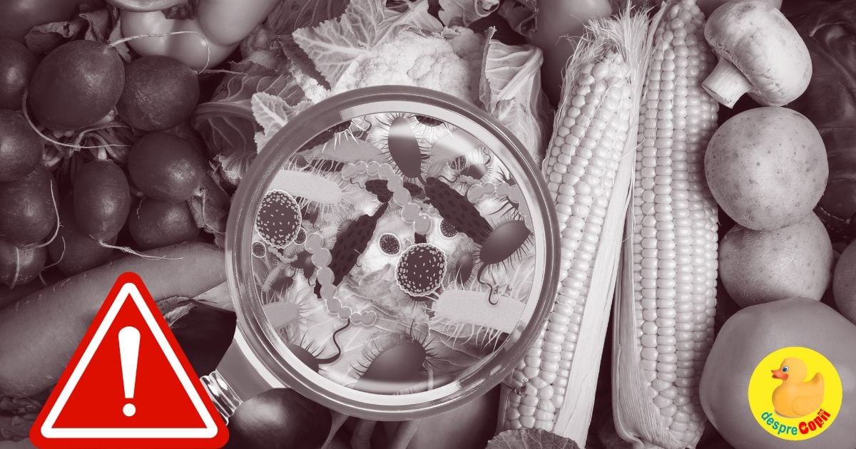 Toxicologul avertizeaza ca aceste alimente NU trebuie consumate niciodata dupa ce au mucegait – pot provoca leziuni grave ale organelor și chiar cancer