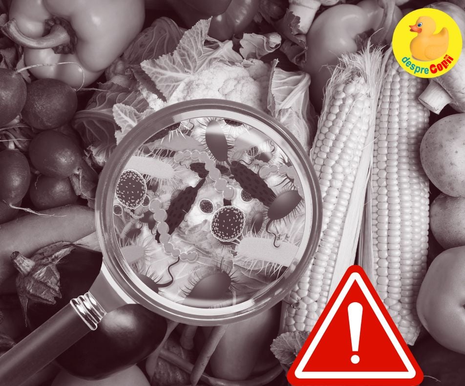 Toxicologul avertizează: aceste alimente NU trebuie consumate niciodată după ce au mucegăit – pot provoca leziuni grave ale organelor și chiar cancer