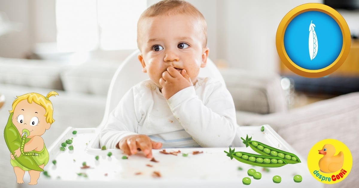 Mazarea in alimentatia bebelusilor – Beneficii si sfaturi de introducere in alimentatie