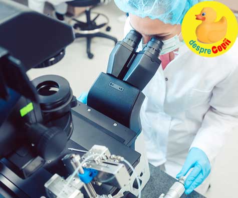 Peregrination Menstruation sink Tratarea infertilitatii cu cele mai moderne proceduri, la clinica Europe IVF din Praga | Desprecopii.com Peregrination Menstruation sink Tratarea infertilitatii cu cele mai moderne proceduri, la clinica Europe IVF din Praga | Desprecopii.com
