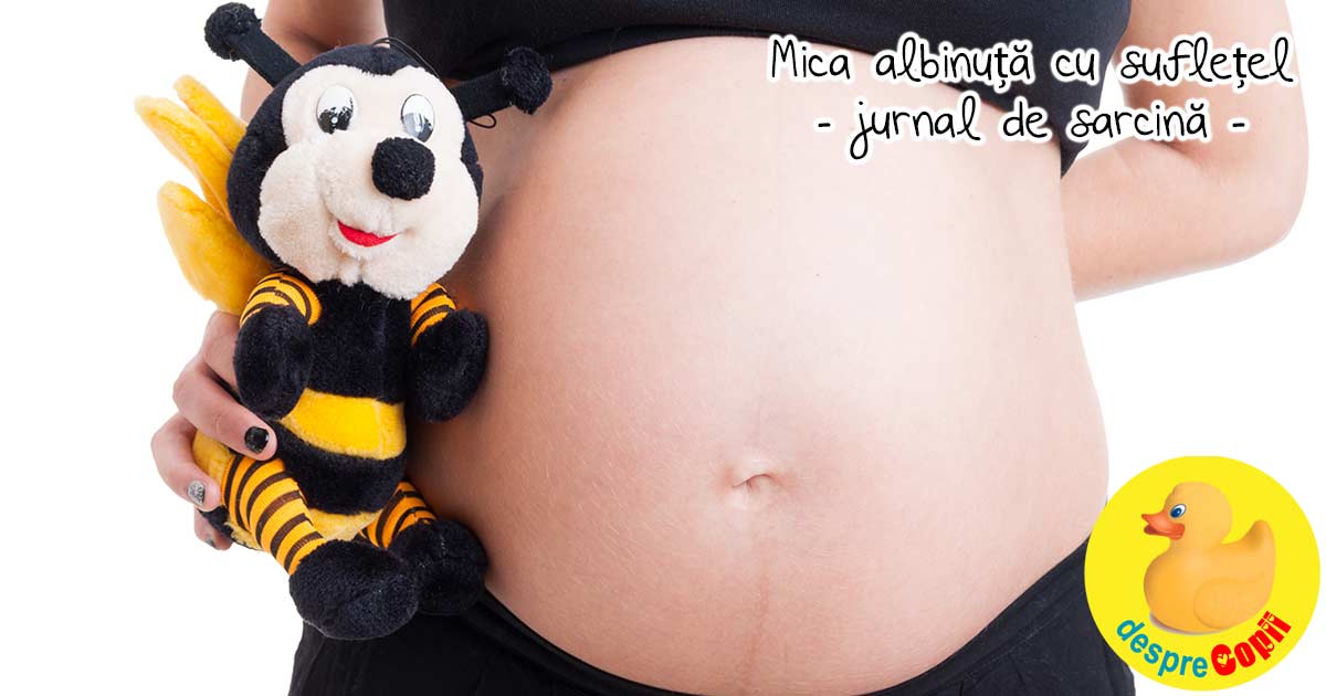 La 6 saptamani de sarcina: mica albinuta cu sufletel, centrul universului nostru - jurnal de sarcina