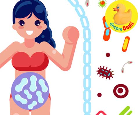 Microbiota gravidei si rolul sau in imunitatea bebelusului. Cum sa ai o flora intestinala sanatoasa in timpul sarcinii.