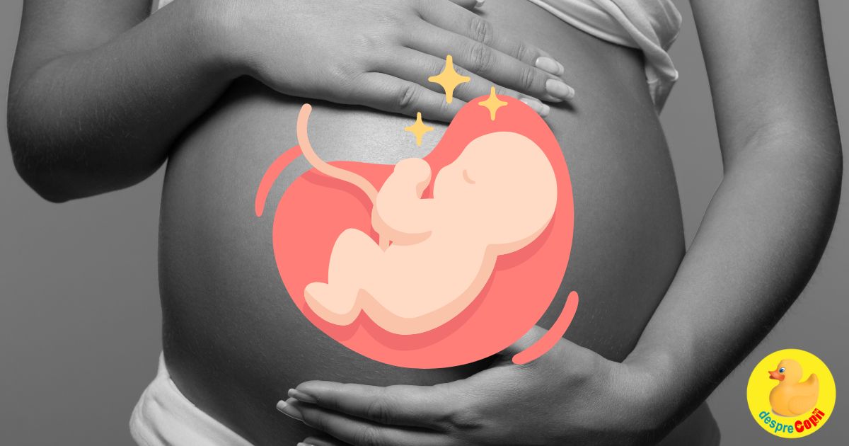 Miscari fetale reduse cand trebuie sa fii ingrijorata si ce trebuie sa stii - PROTOCOL DE SIGURANTA si sfatul medicului ginecolog