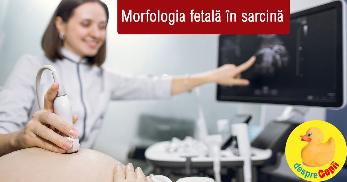 Morfologia fetala: ce este, de ce se face si cand se face - sfatul medicului