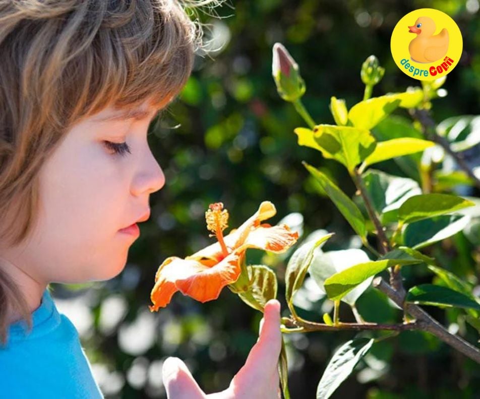 Natura ii face pe copii mai fericiti si mai destepti -…
