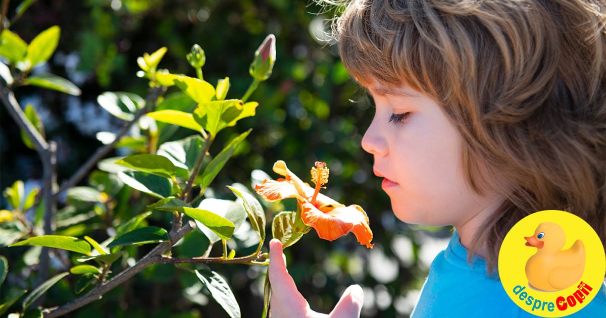 Natura ii face pe copii mai fericiti si mai destepti - beneficiile activitatilor in natura