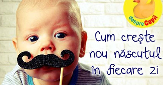 Cum creste nou nascutul in fiecare zi