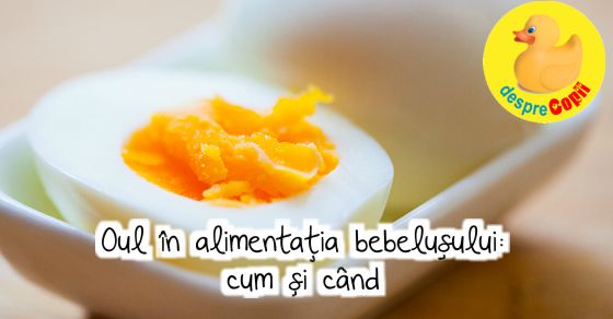 Oul in alimentatia bebelusului: cum si cand