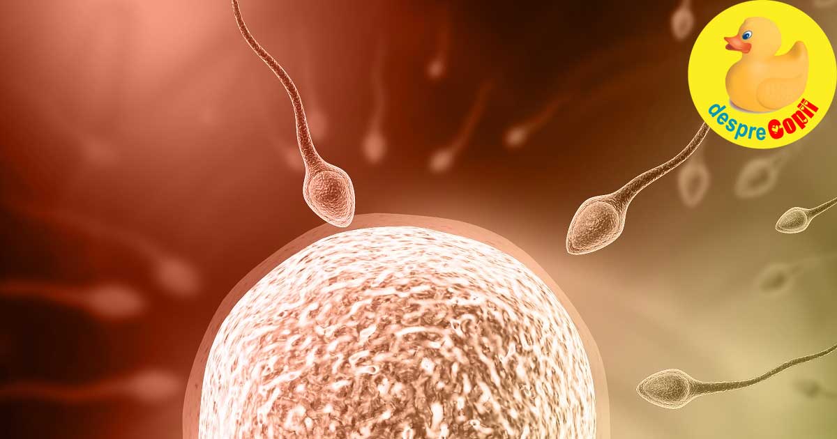 Cum poti detecta cel mai sigur perioada ovulatiei: 6 semnale pe care trebuie sa le stii