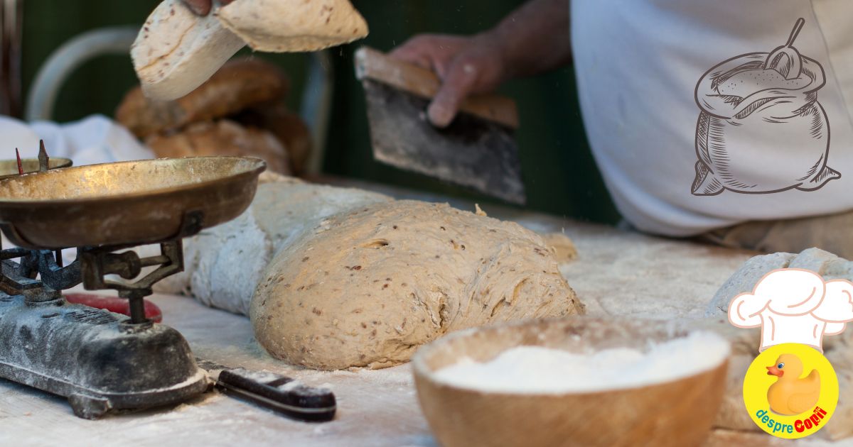 Paine rapida si aromata cu seminte si faina integrala - o reteta usoara si gustoasa