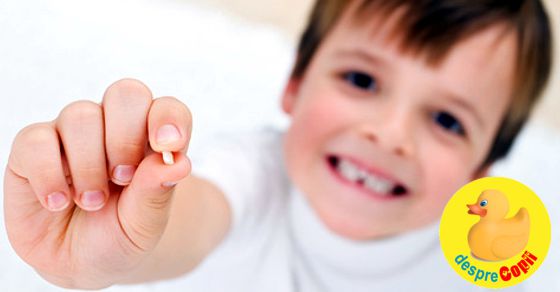 Pastreaza dintii de lapte ai copilului pentru ca sunt o sursa de celule stem