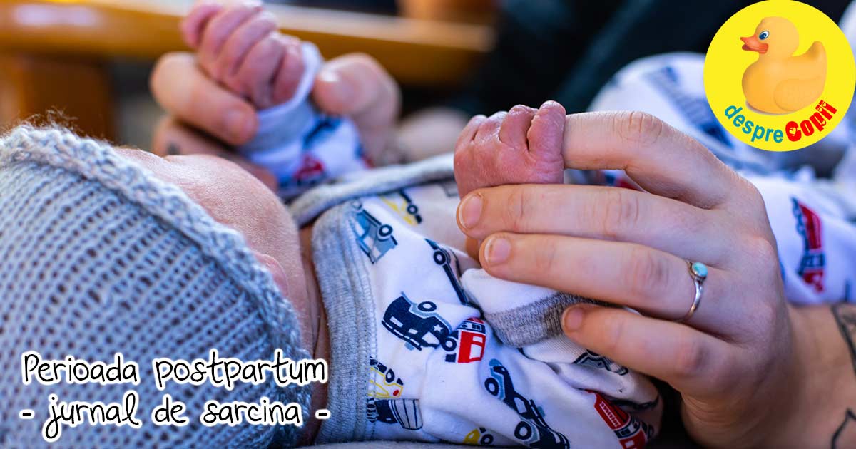 Perioada postpartum: o perioada tabu din viata unei femei: despre vulberabilitate fizica si emotionala - jurnal de sarcina