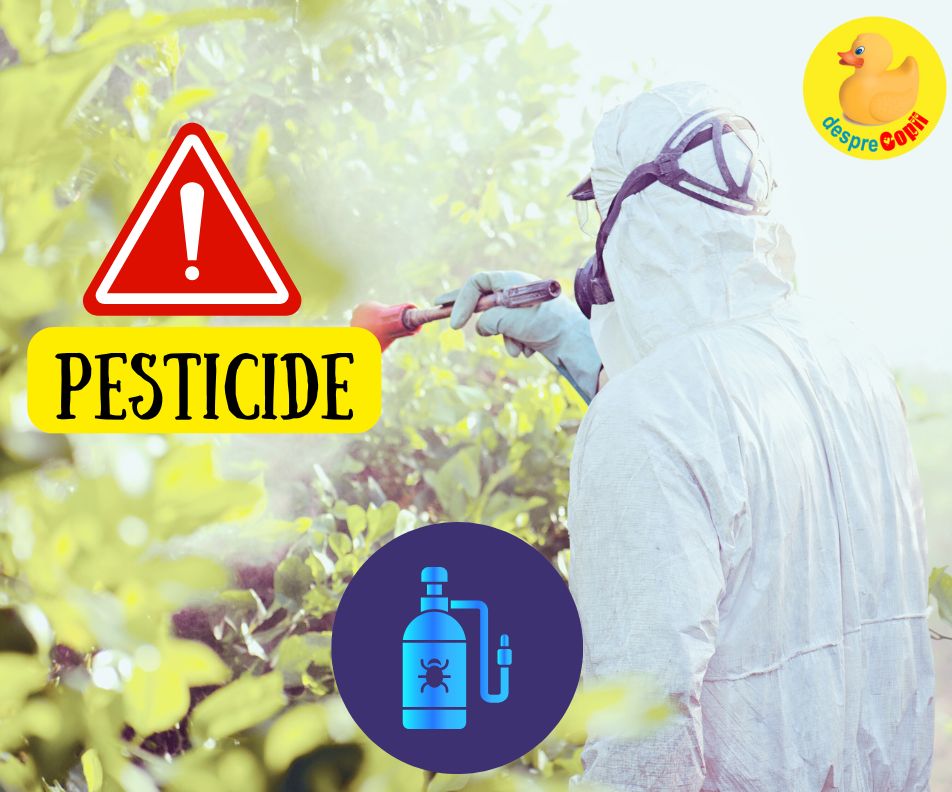 Putem elimina pesticidele de pe fructe si legume? Un ghid pentru a ne apara copiii de substanțe chimice toxice