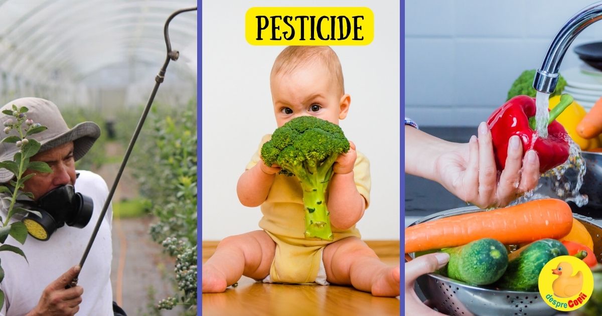 Pesticide in mancarea copilului tau: cum putem elimina pesticidele din fructe și legume