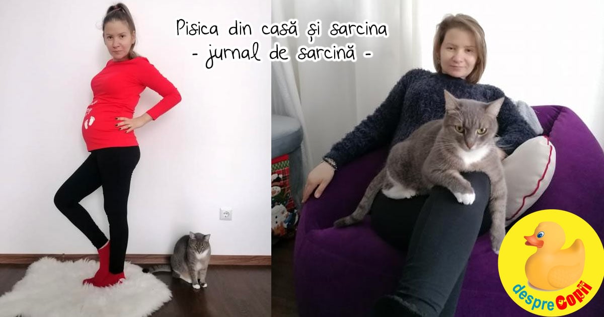 Pisica din casa si sarcina - jurnal de sarcina