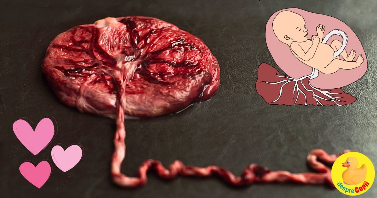 7 lucruri posibile de facut cu placenta