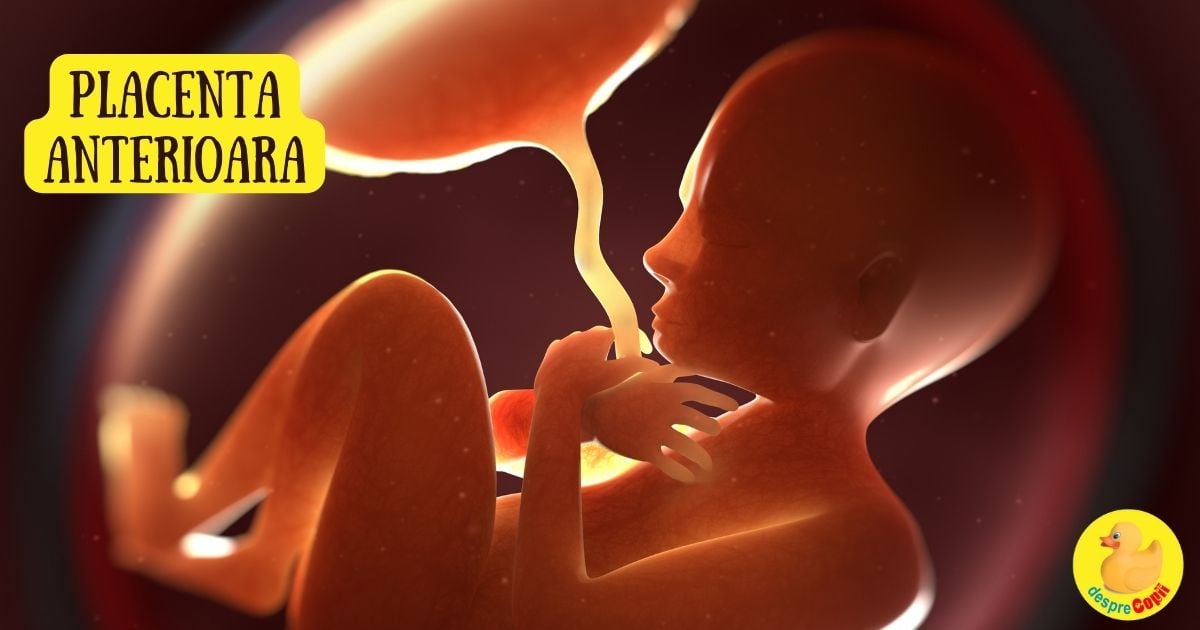 Placenta anterioara: ce inseamna pentru sarcina si fat si sfatul medicului