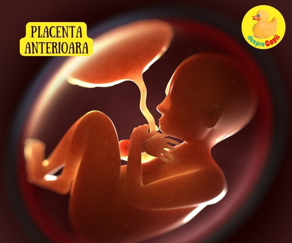 Placenta anterioara: ce inseamna pentru sarcina si fat si sfatul medicului