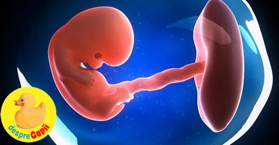 Placenta Previa: simptome si factori de risc