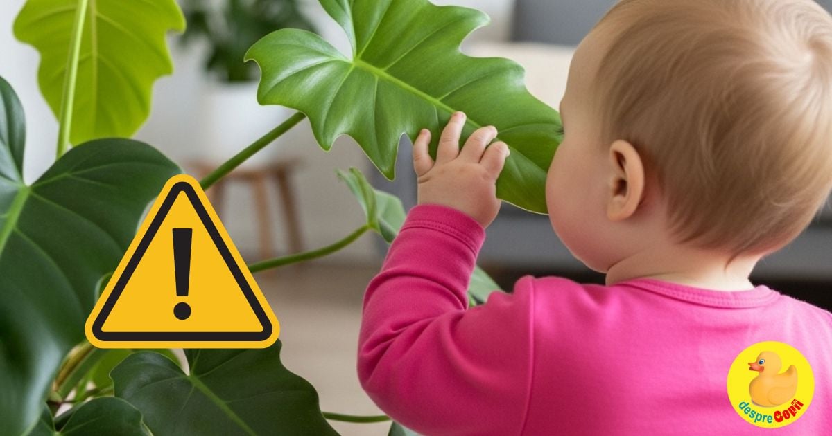 Frumoase, dar letale. Aceste plantele verzi iti pot otravi copilul - ai grija ce plante ai la indemana bebelusului