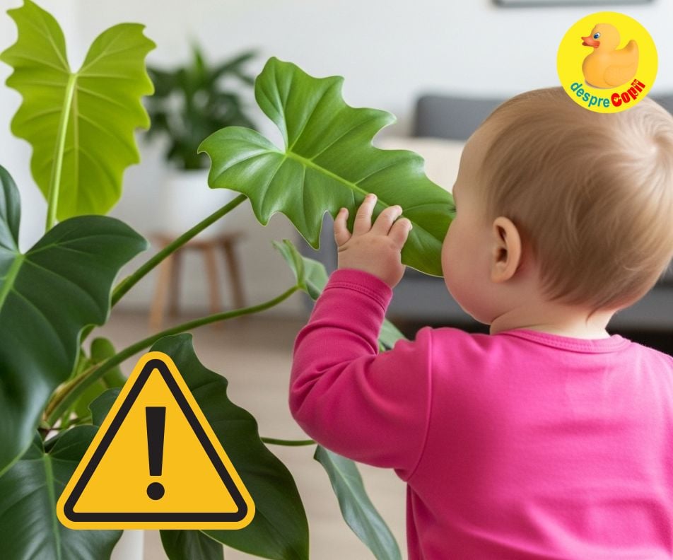 Frumoase, dar letale. Aceste plantele verzi îți pot otrăvi copilul - ai grija ce plante ai la indemana bebelusului