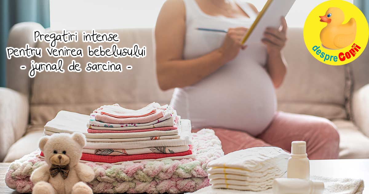 Pregatiri intense pentru venirea lui bebe - jurnal de sarcina