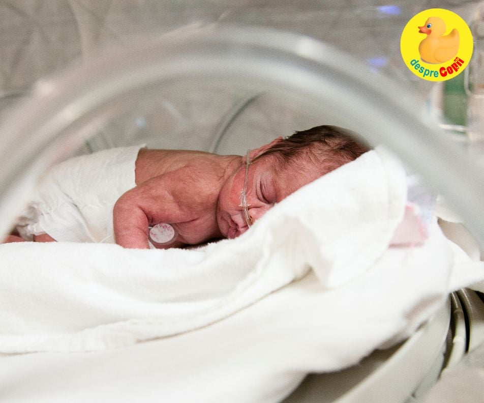 Studiu - microplasticele din placente sunt legate de nasterile premature. Vezi care sunt sursele de unde te poti contamina.