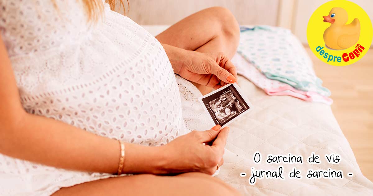 Primele doua etape ale sarcinii: trimestrul I & II de sarcina - jurnal de sarcina