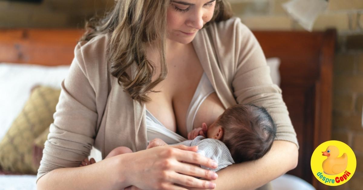Alaptarea in primele zile de la nastere: Cum trebuie sa se pregateasca proaspata mamica?