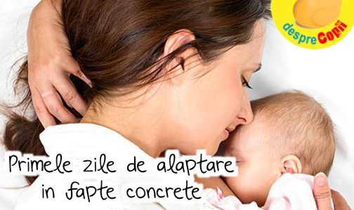 Primele zile de alaptare in fapte concrete
