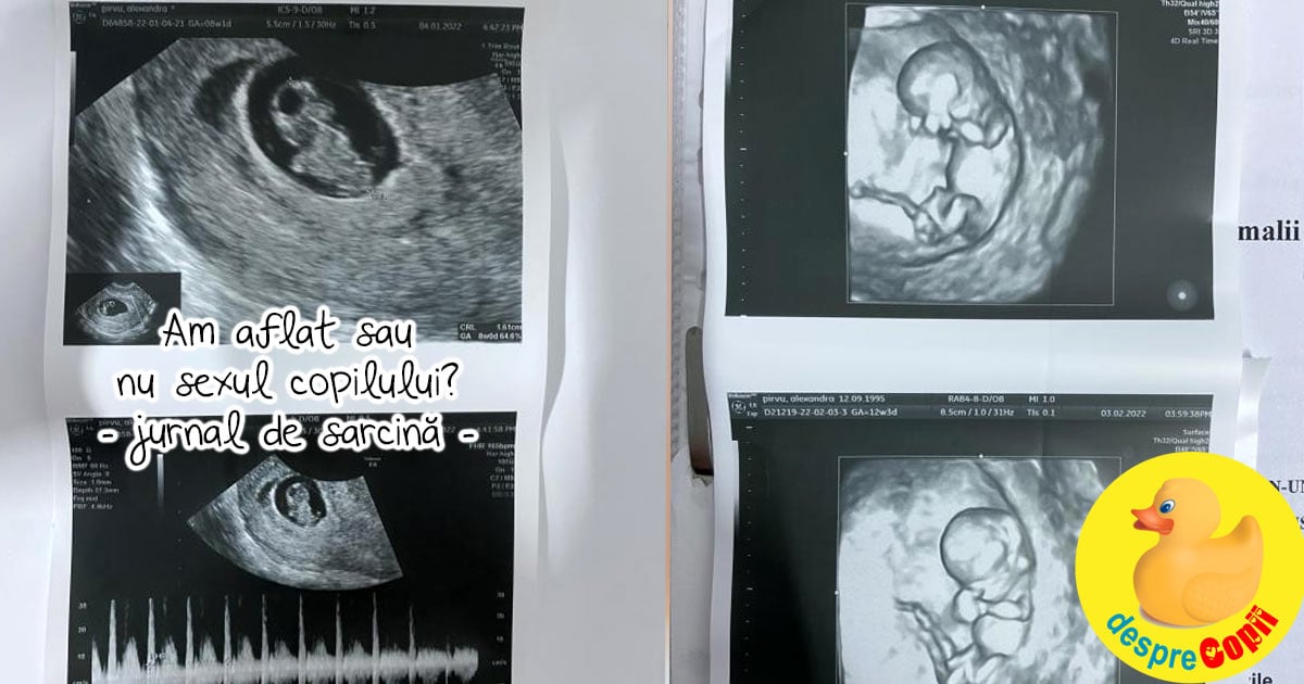 Prima morfologie la 12 saptamani - dar nu stim inca sigur daca e fetita sau baietel - jurnal de sarcina