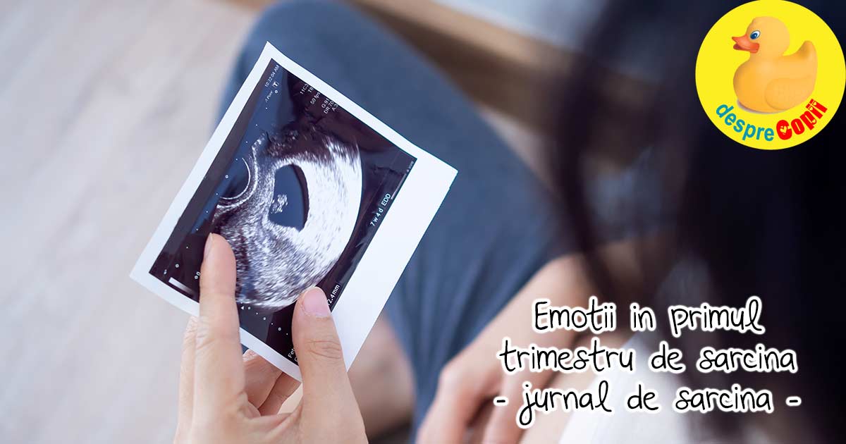 Emotii de sarcina in primul trimestru - jurnal de sarcina