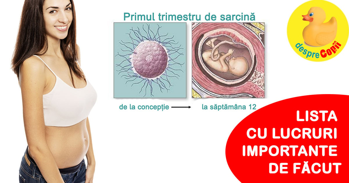 Primul trimestru de sarcina:  lista cu lucruri de facut