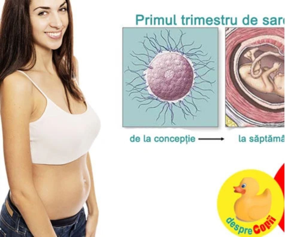 Primul trimestru de sarcina. Lista cu lucruri de facut ca sa iti faci viata mai usoara si mai sanatoasa in asteptarea lui bebe