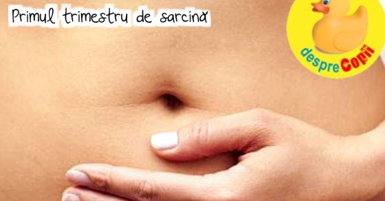 Primul trimestru de sarcina: saptamanile esentiale pentru fat