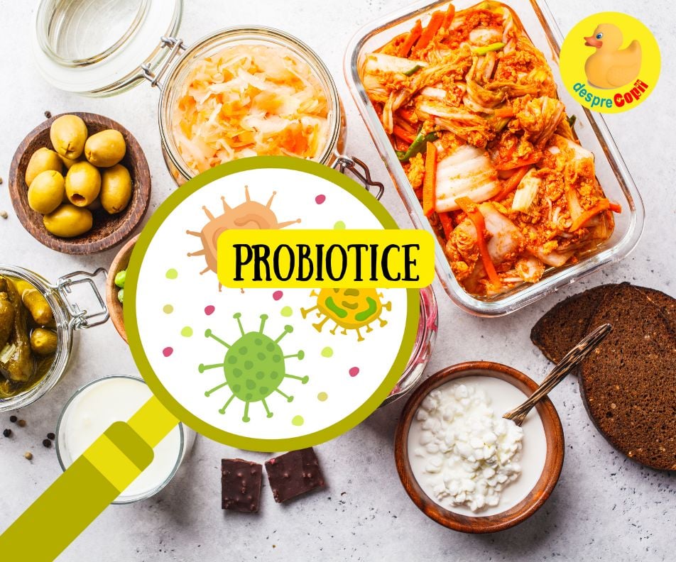 5 alimente probiotice care produc bacterii bune pentru intestin