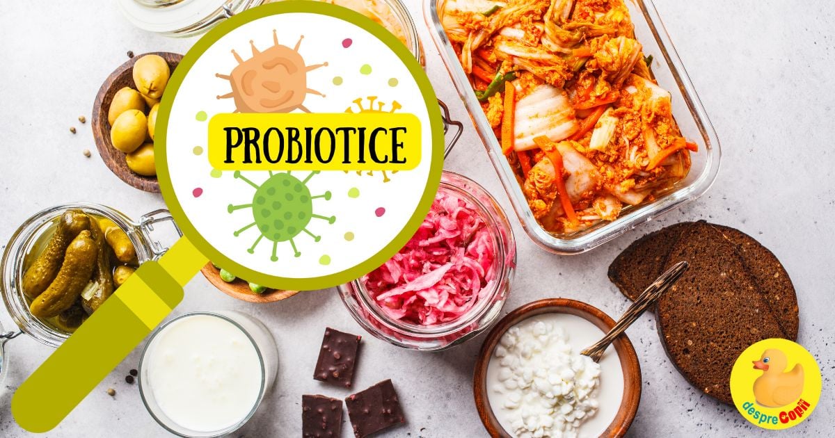 5 alimente probiotice care produc bacterii bune pentru intestin