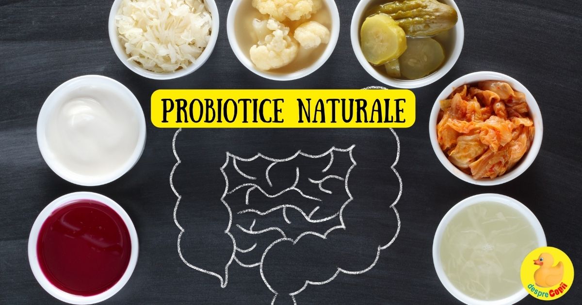 Topul celor 12 mai eficiente probiotice naturale - aceste bacterii minune si prietenoase intestinului