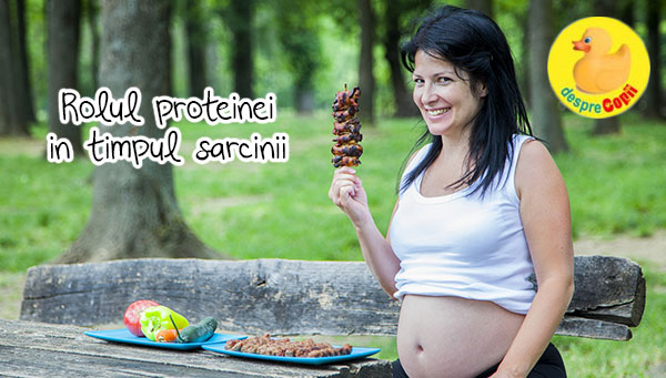 Rolul proteinelor in timpul sarcinii