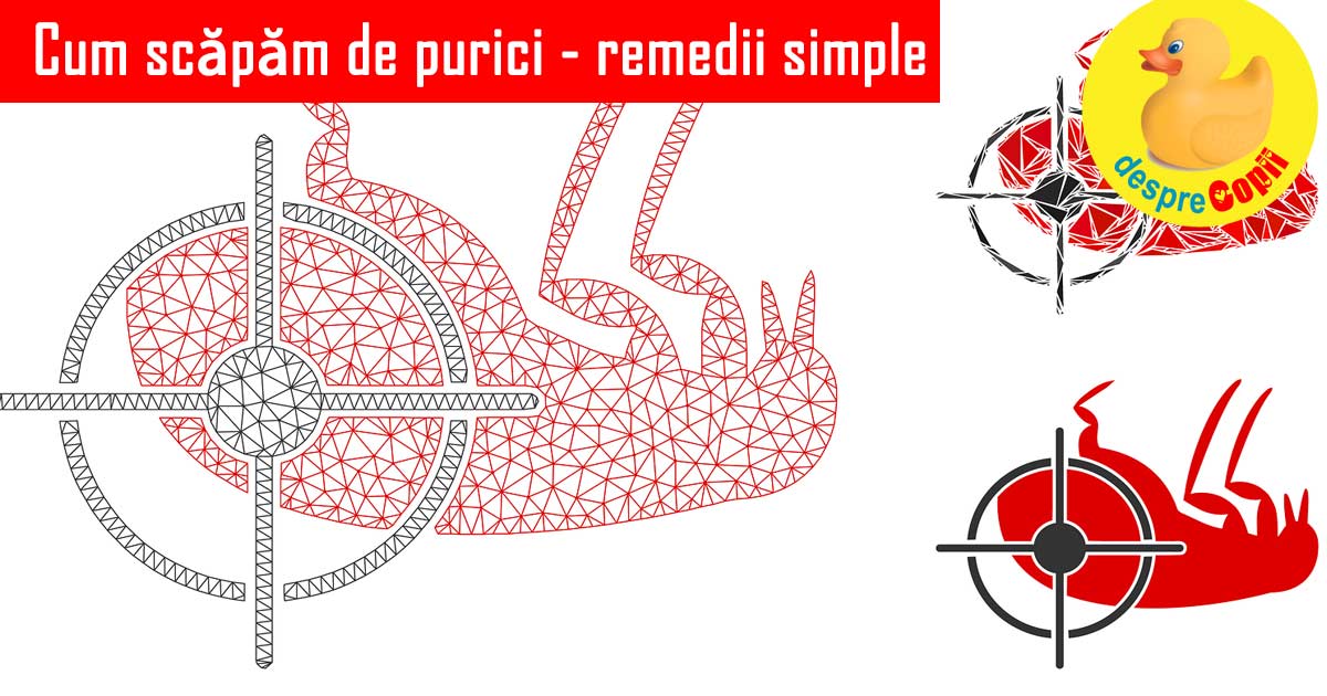 Cum scapam de purici: 10 remedii simple pe care trebuie sa le stii