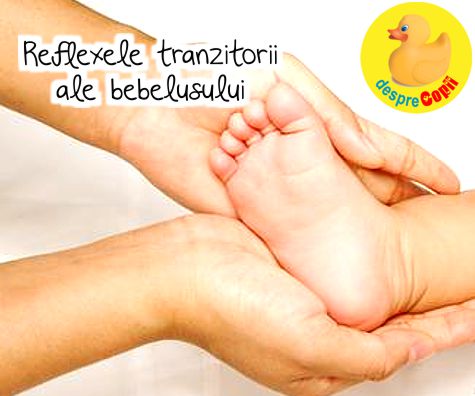 Reflexele tranzitorii ale bebelusului