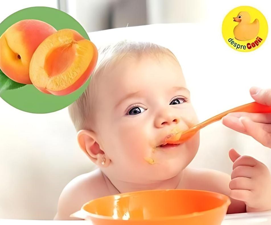13 retete cu caise pentru bebelusi - bogate in vitamina C si potasiu