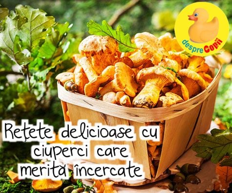 16 retete delicioase cu ciuperci care merita incercate