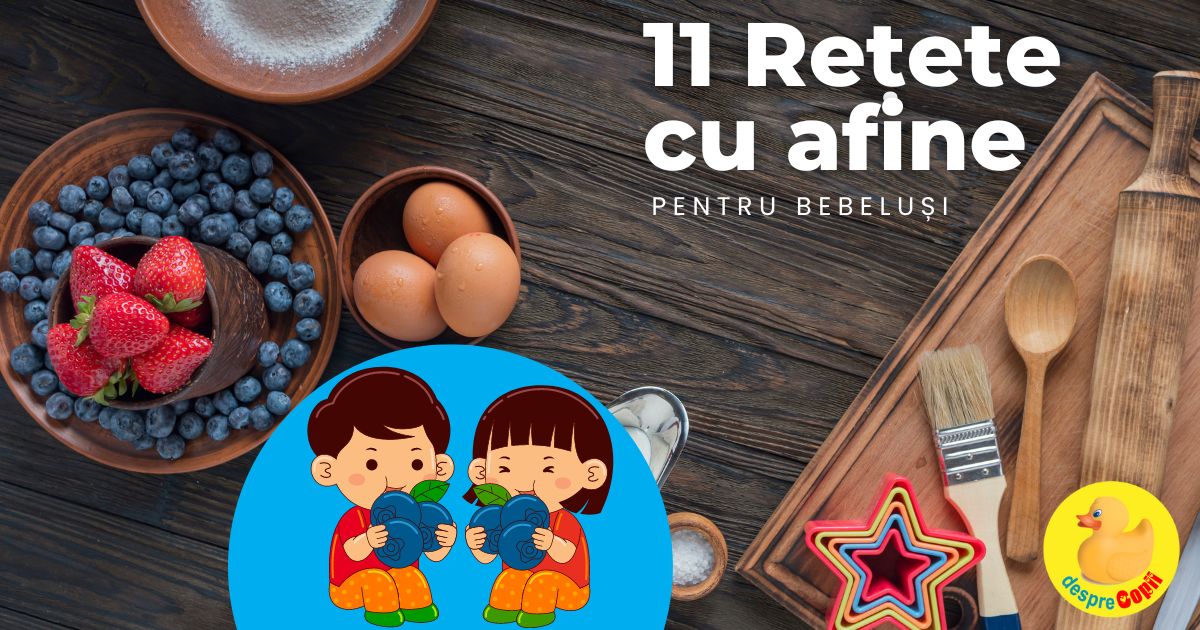 11 Retete cu afine pentru bebelusi