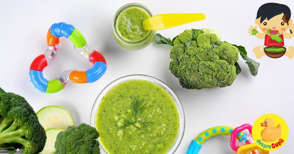 15 retete cu broccoli pentru bebelusi si copilasi - care sunt bogate in vitamine esentiale si sustin imunitatea