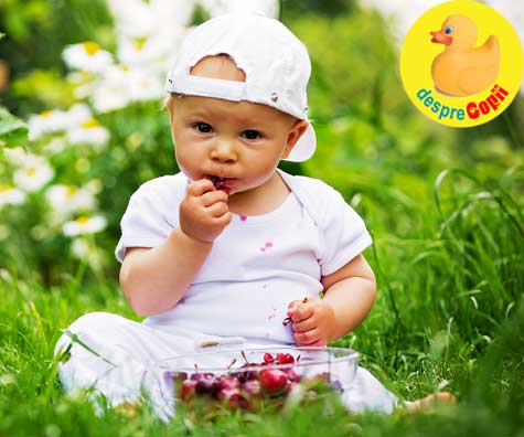 11 Retete cu cirese pentru bebelusi - pline de vitamina C si foarte gustoase