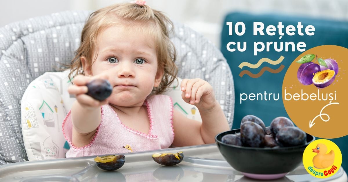 11 retete gustoase cu prune - pentru bebelusi