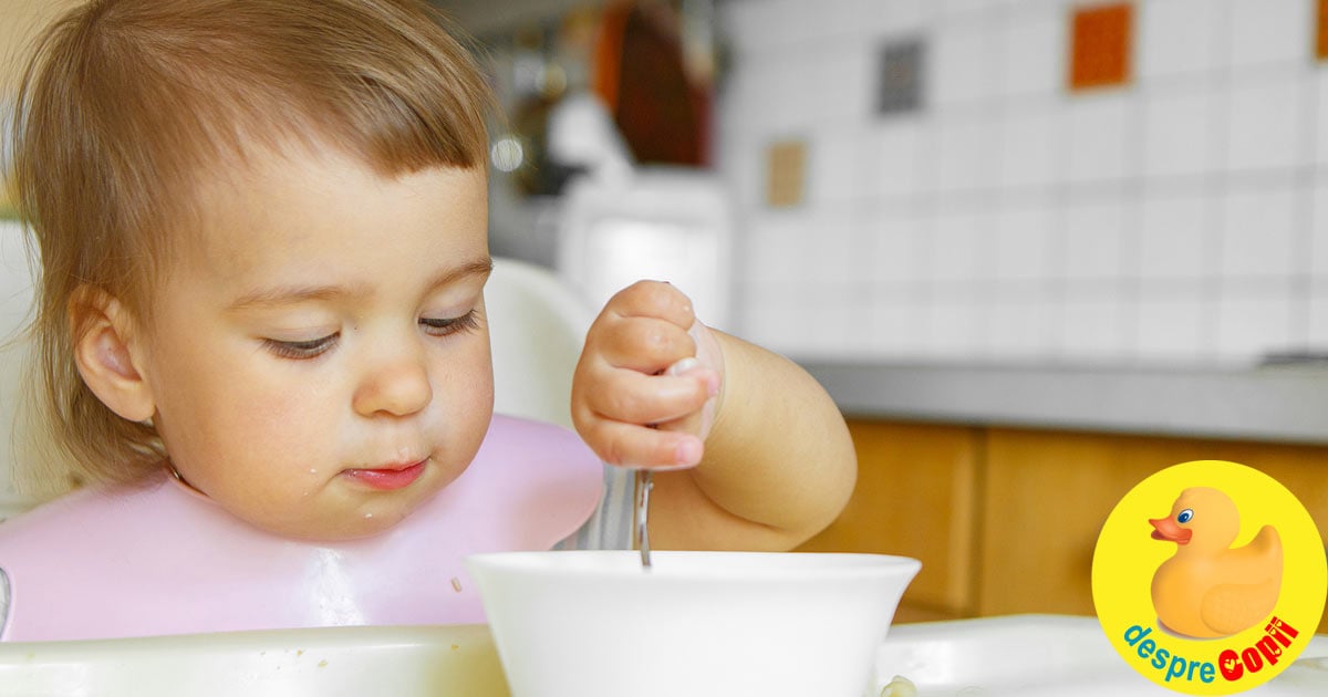 10 retete cu naut pentru bebelusi: bogate in proteine vegetale si fier