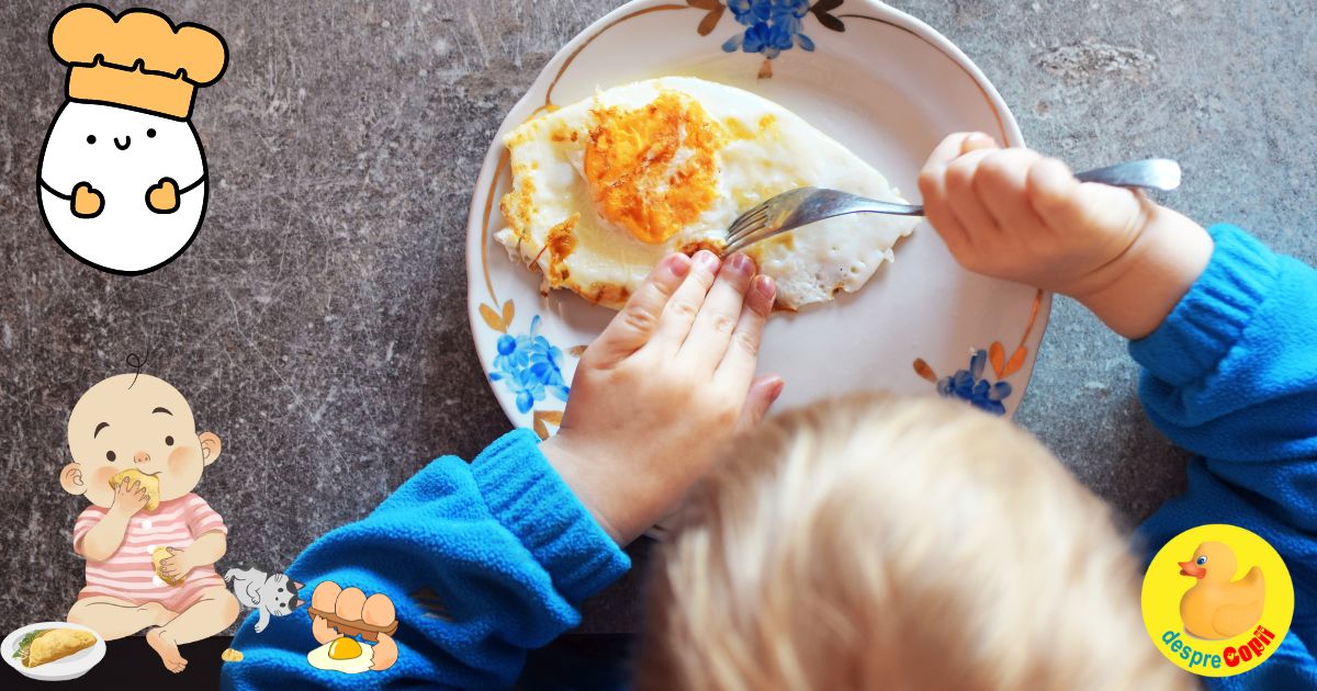 18 retete cu ou pentru bebelusi si copilasi - bogate in proteine de calitate si vitamine esentiale
